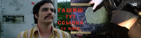 индика Армянск