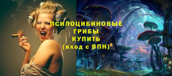 не бодяженный Аркадак