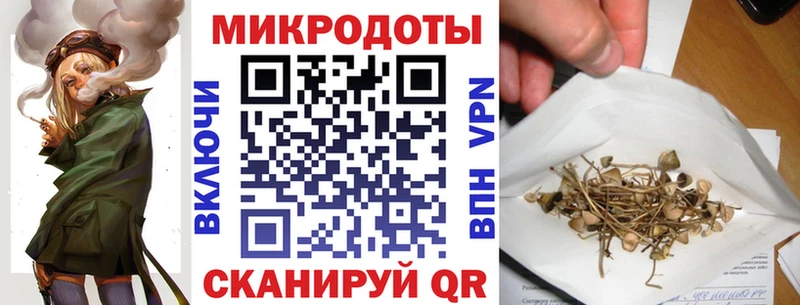 где можно купить наркотик  Полесск  Псилоцибиновые грибы Cubensis 